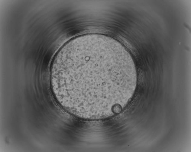 X0000091190836200709061012