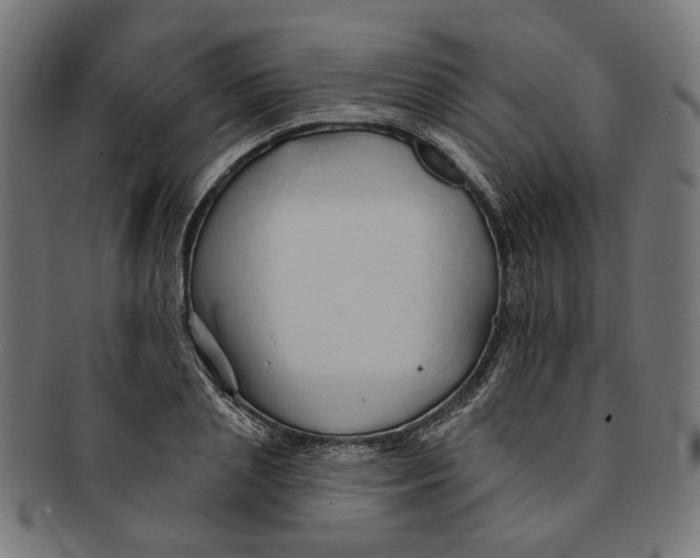 X0000091190837200709061012