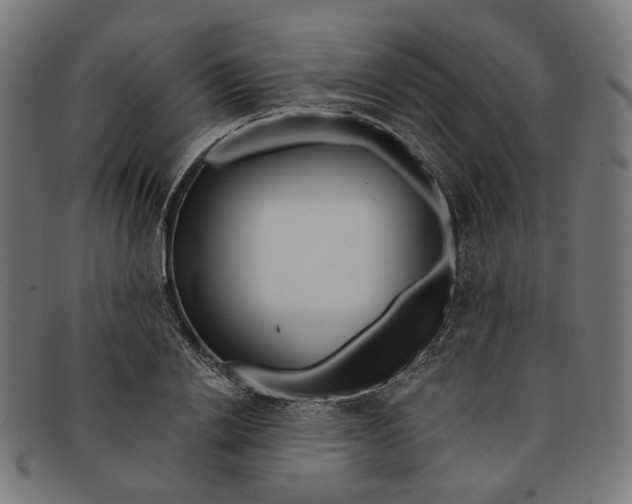 X0000091190838200709061012