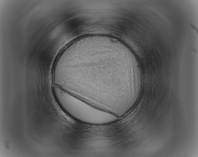 X0000091190840200709061012