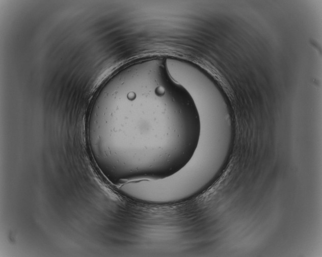 X0000091190842200709061012