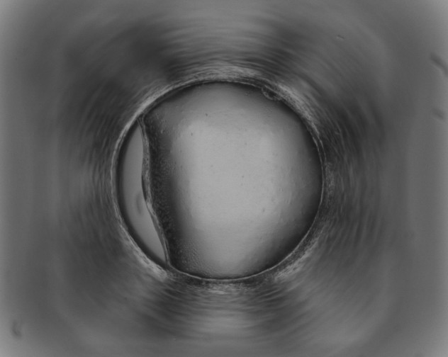 X0000091190843200709061012