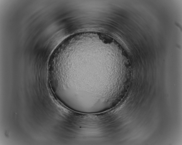 X0000091190844200709061012