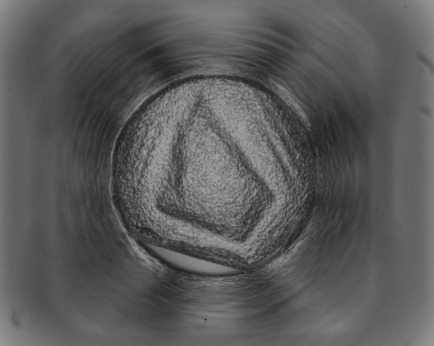 X0000091190845200709061012