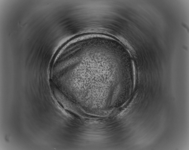 X0000091190846200709061012