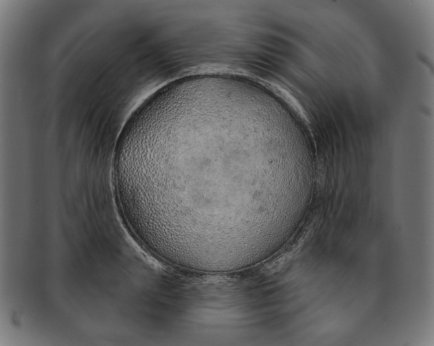 X0000091190847200709061012