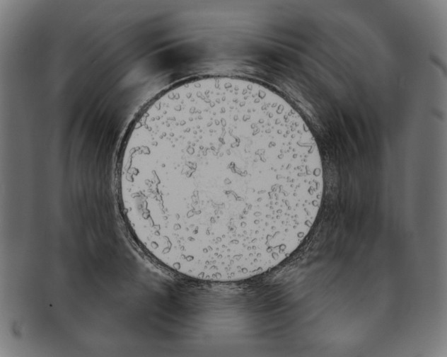 X0000091190848200709061012