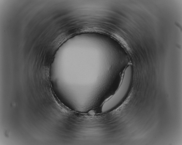 X0000091190849200709061012