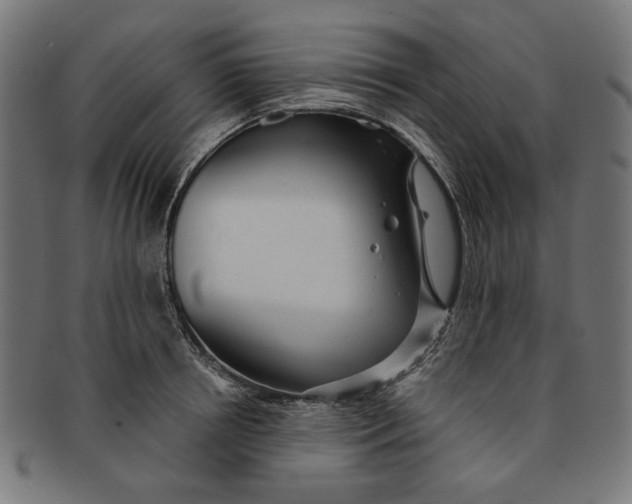 X0000091190850200709061012