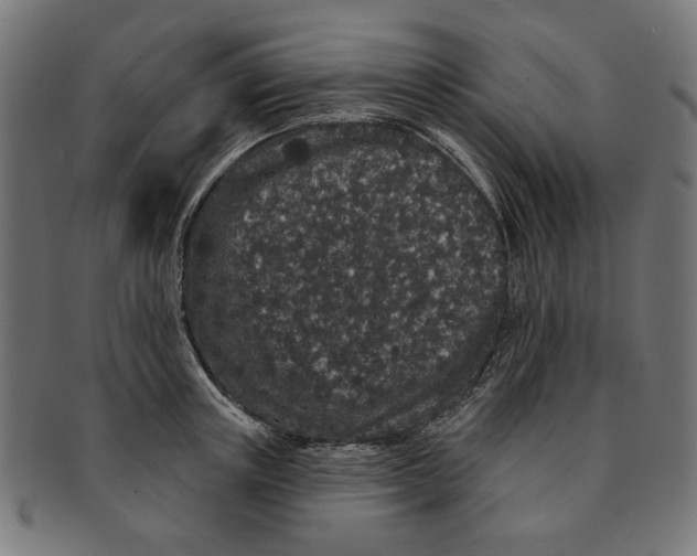 X0000091190851200709061012