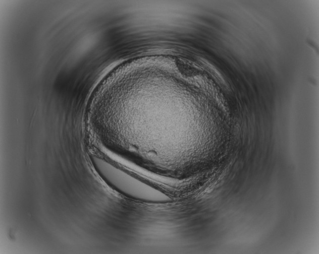 X0000091190852200709061012