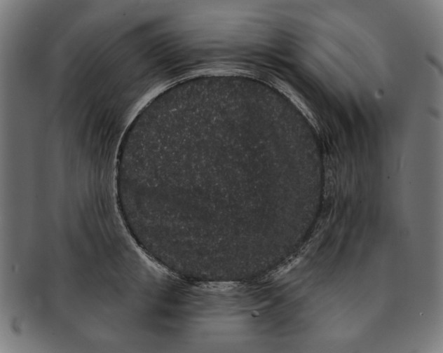 X0000091190853200709061012