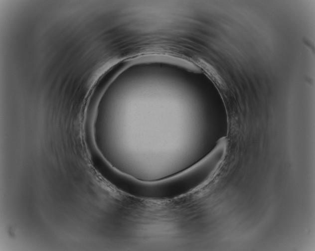 X0000091190854200709061012