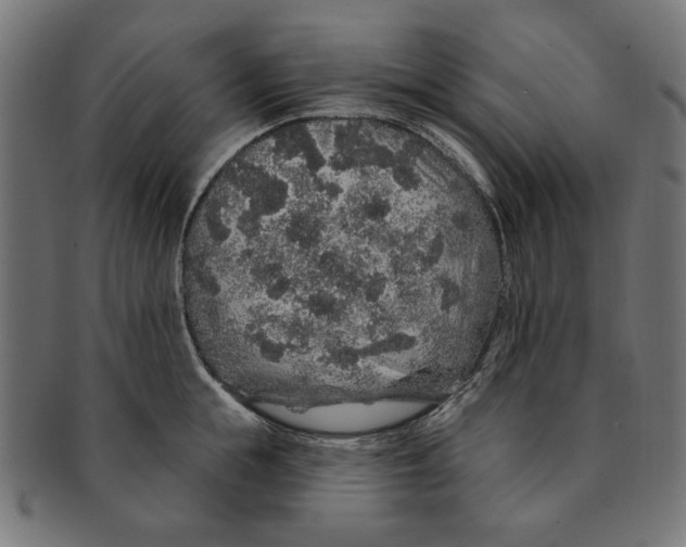 X0000091190855200709061012