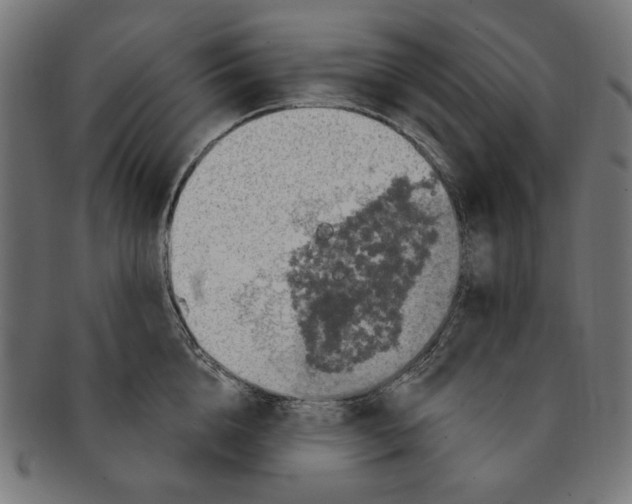 X0000091190856200709061012