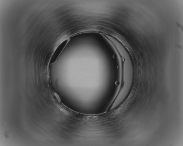 X0000091190858200709061012