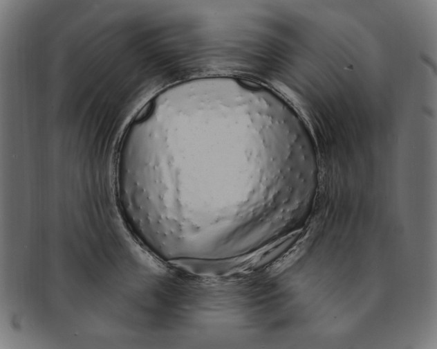 X0000091190859200709061012