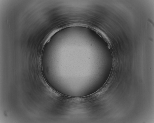 X0000091190860200709061012