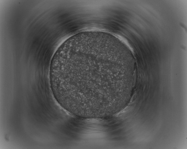 X0000091190863200709061012