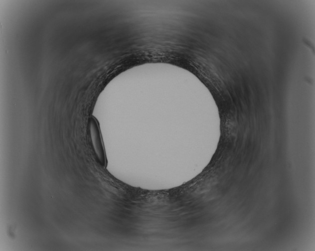 X0000091190865200709061012