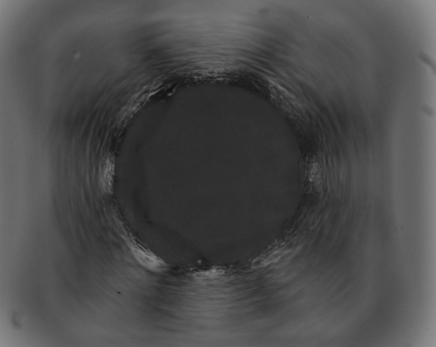 X0000091190868200709061011