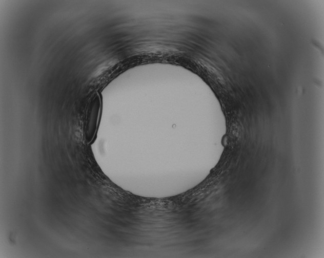 X0000091190869200709061011