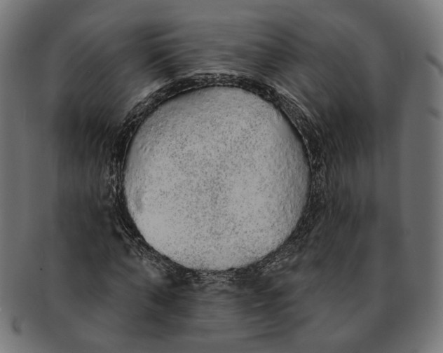 X0000091190870200709061011