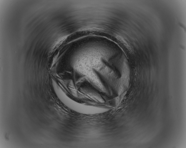 X0000091190872200709061011