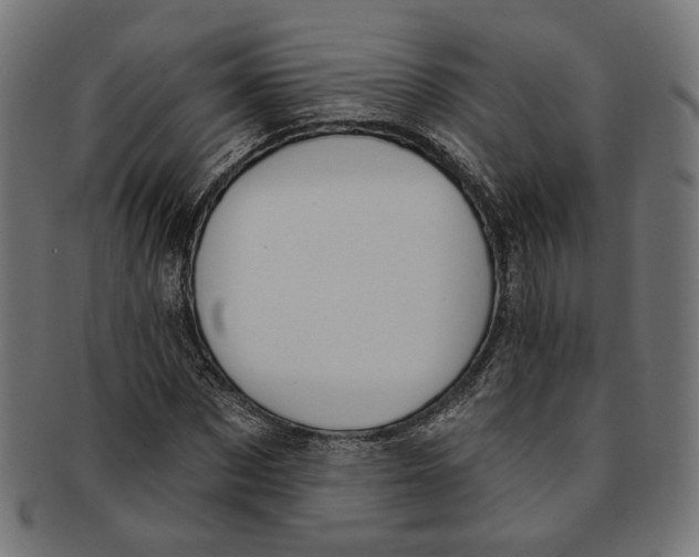 X0000091190873200709061011