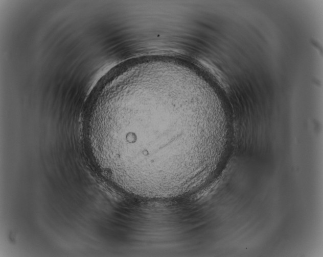 X0000091190875200709061011