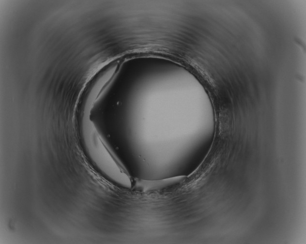 X0000091190876200709061011