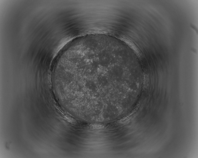 X0000091190878200709061011