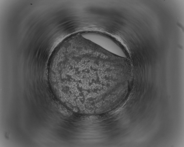 X0000091190879200709061011