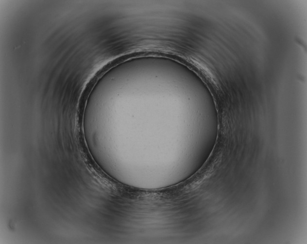 X0000091190880200709061011