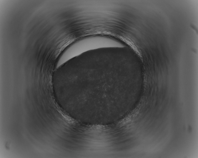 X0000091190881200709061011