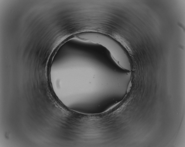 X0000091190884200709061011