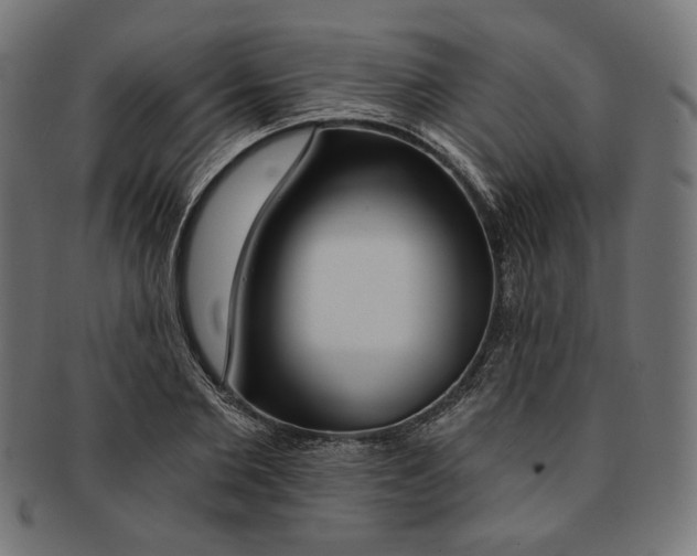 X0000091190885200709061011