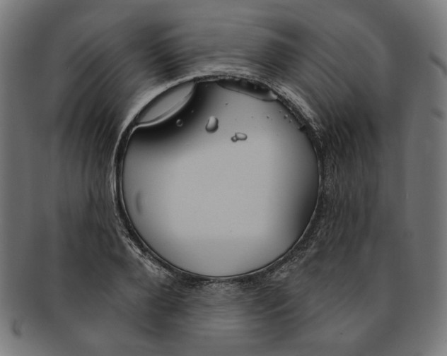 X0000091190888200709061011