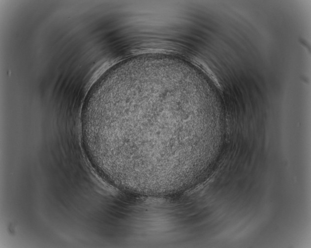 X0000091190890200709061011