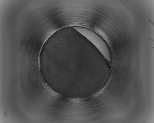 X0000091190892200709061011