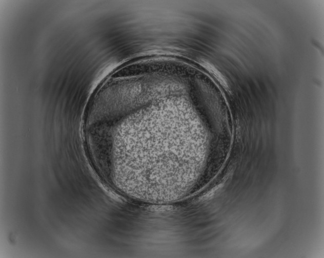 X0000091190893200709061011