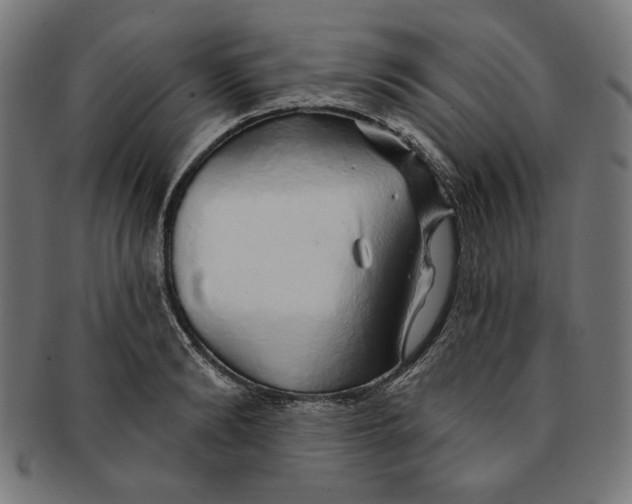 X0000091190894200709061011