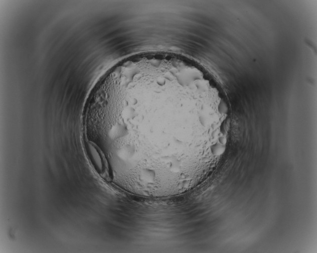 X0000091190895200709061011