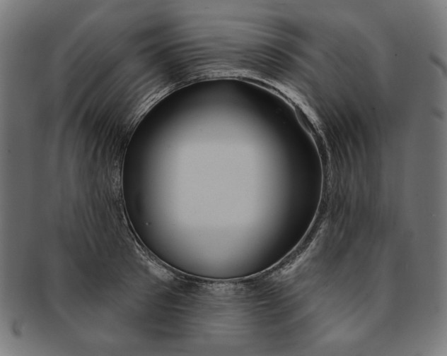 X0000091190897200709061011