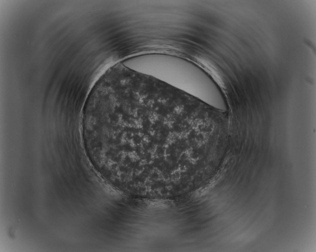 X0000091190899200709061011