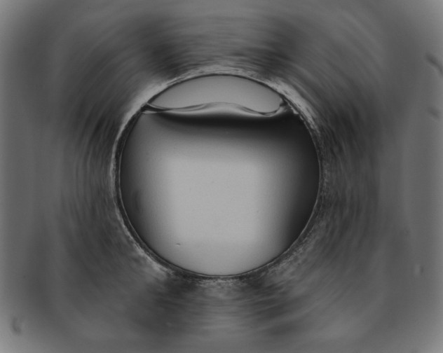 X0000091190902200709061011