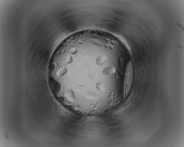 X0000091190903200709061011