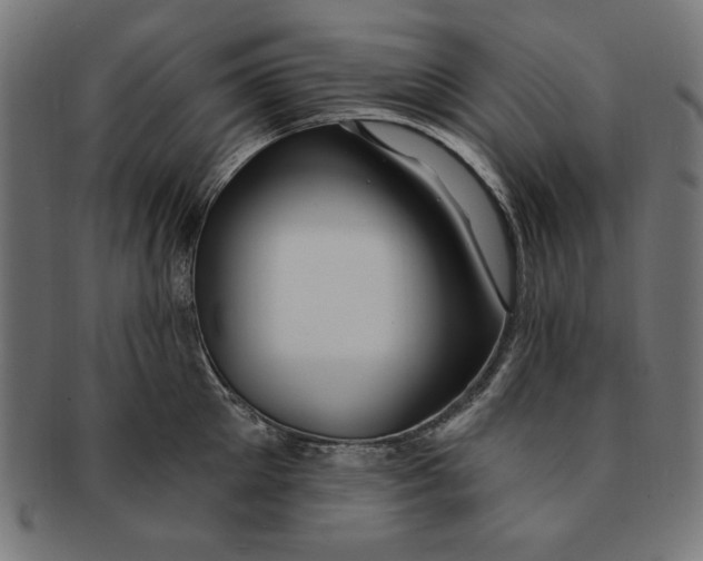 X0000091190905200709061011