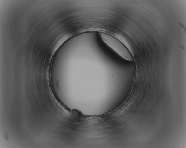 X0000091190906200709061011