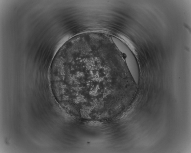 X0000091190907200709061011